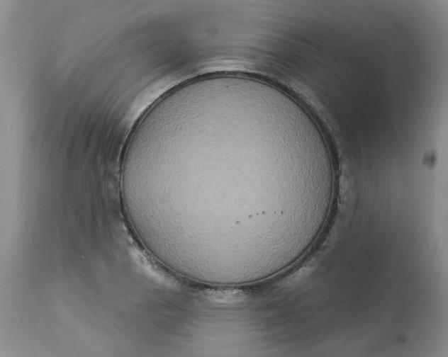 X0000113181129200909251435