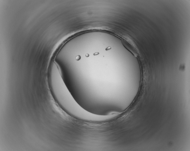 X0000113181132200909251435