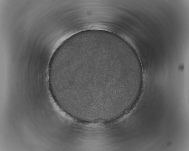 X0000113181133200909251435