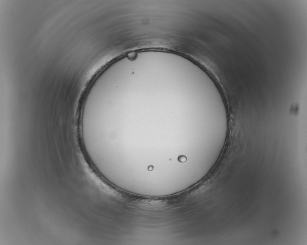 X0000113181135200909251435