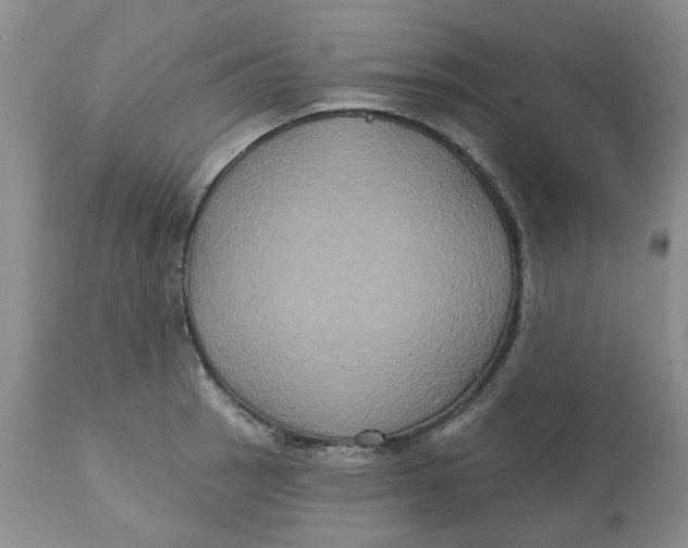 X0000113181137200909251435