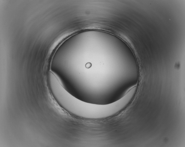 X0000113181138200909251435