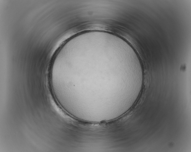 X0000113181139200909251435