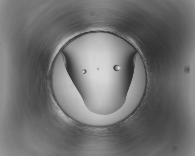 X0000113181140200909251435