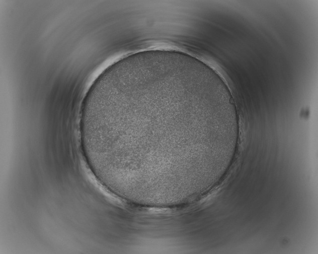 X0000113181142200909251435