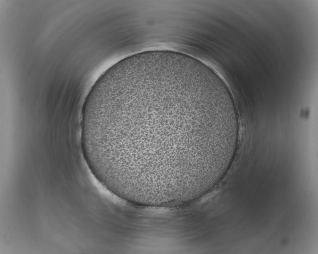 X0000113181143200909251435