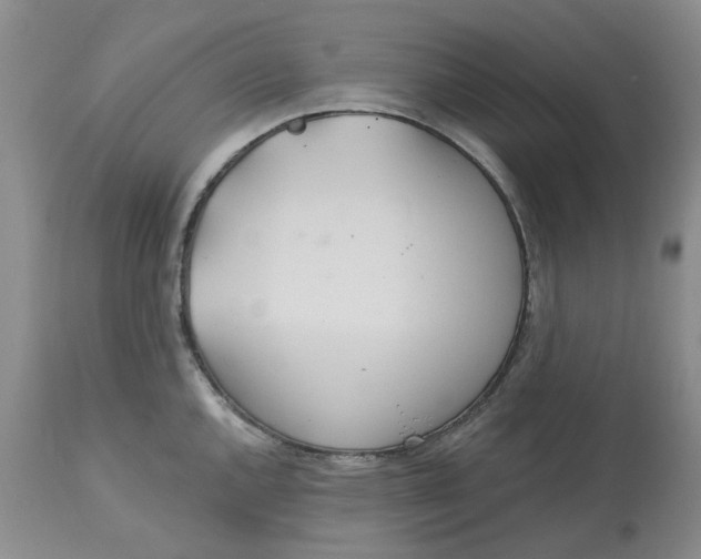 X0000113181144200909251435