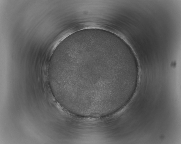 X0000113181145200909251435