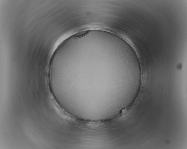 X0000113181146200909251435