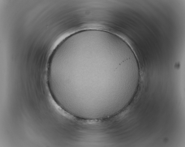 X0000113181147200909251435