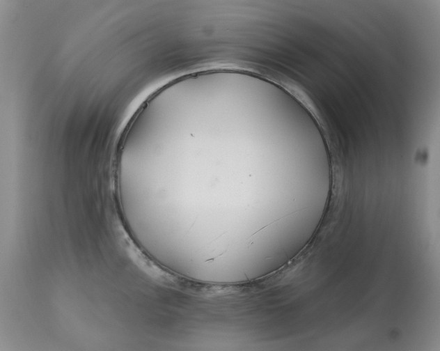 X0000113181148200909251435