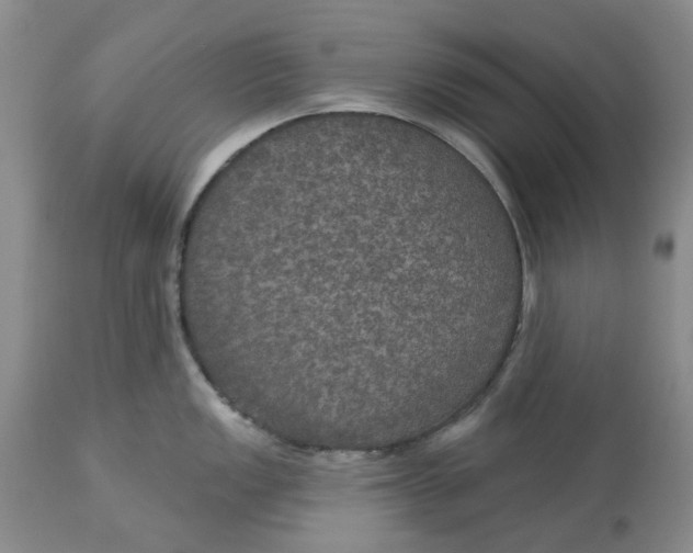X0000113181149200909251435