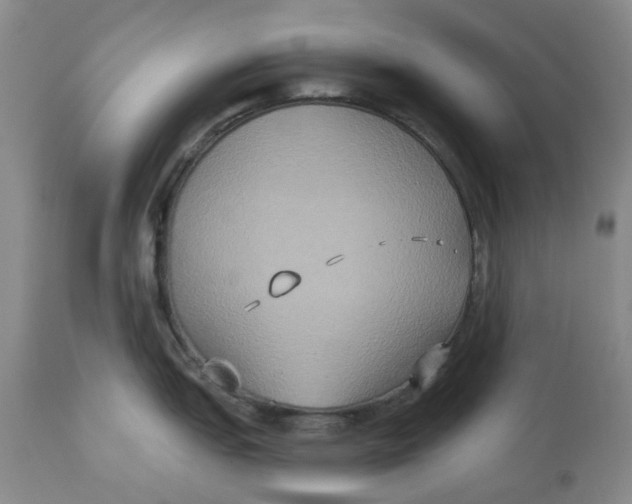 X0000113181151200909251435