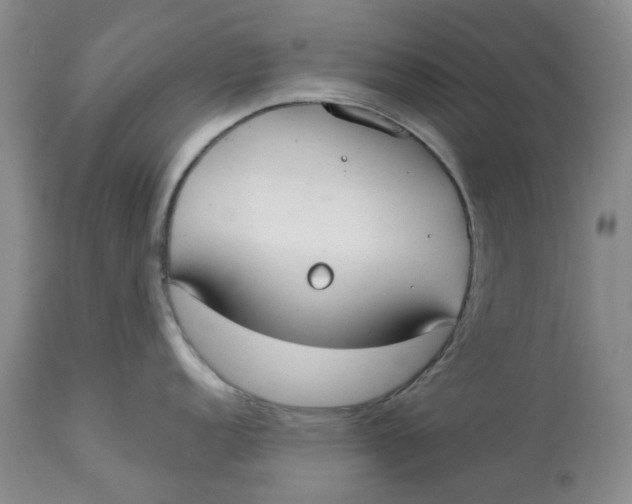 X0000113181152200909251435