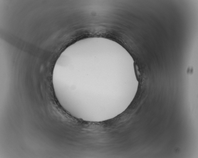 X0000113181153200909251434