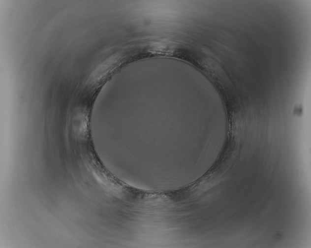 X0000113181154200909251434