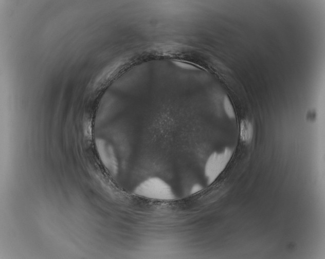 X0000113181155200909251434