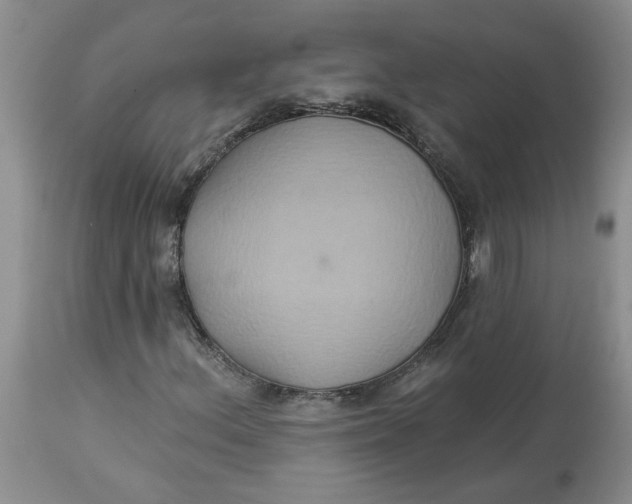 X0000113181156200909251434