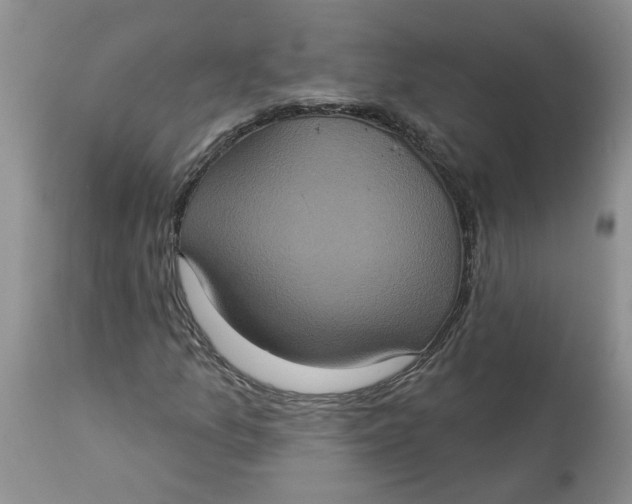 X0000113181157200909251434