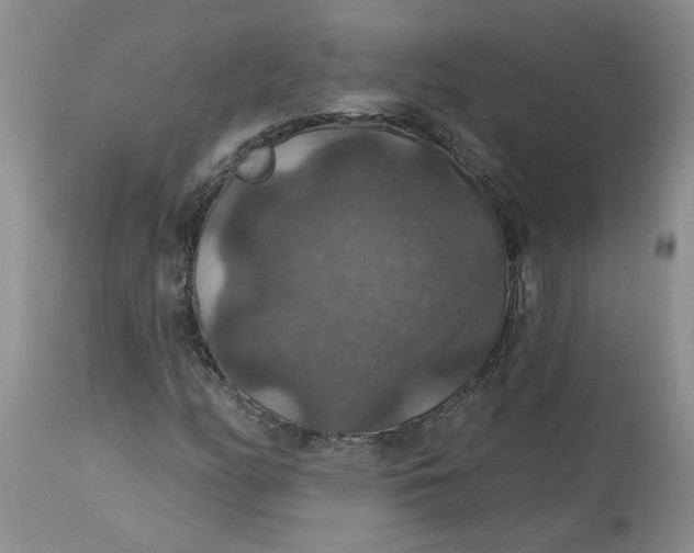 X0000113181158200909251434