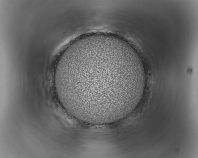 X0000113181159200909251434