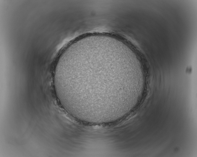 X0000113181160200909251434