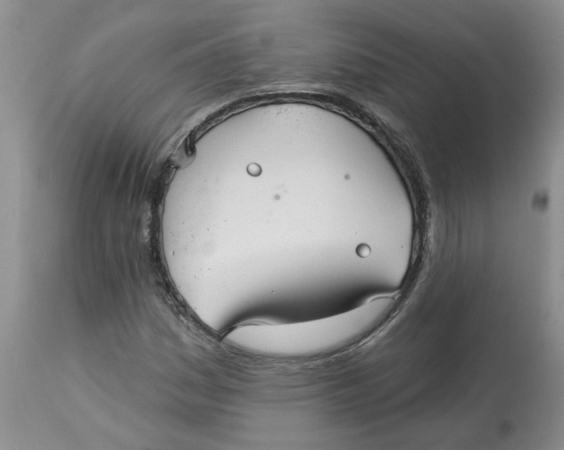 X0000113181161200909251434