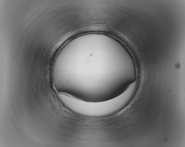 X0000113181162200909251434