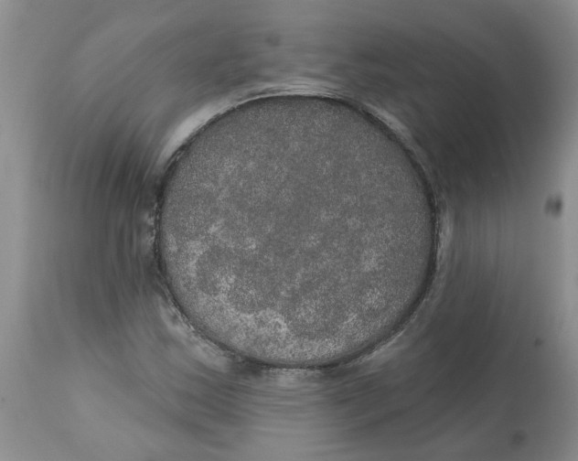 X0000113181163200909251434