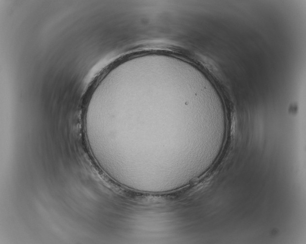 X0000113181164200909251434