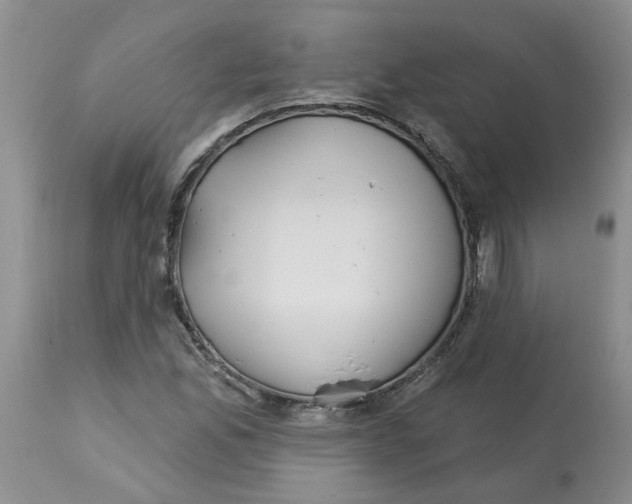 X0000113181165200909251434