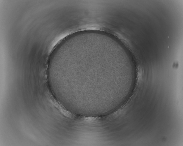 X0000113181166200909251434