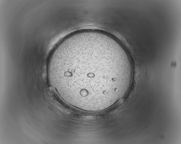 X0000113181167200909251434