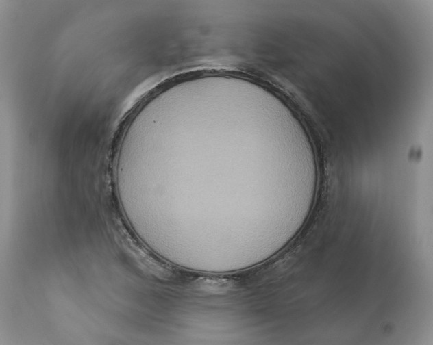 X0000113181168200909251434