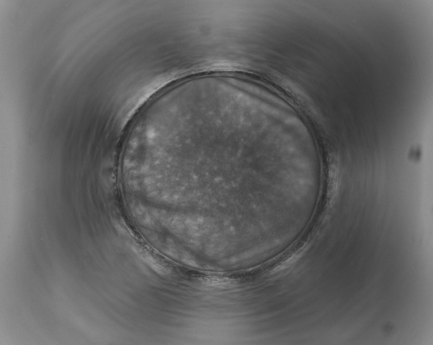 X0000113181170200909251434