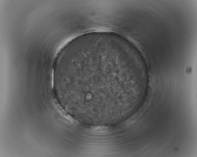 X0000113181171200909251434