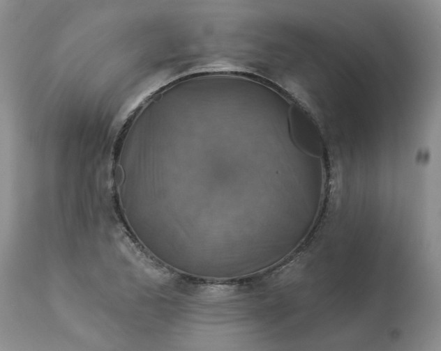 X0000113181173200909251434