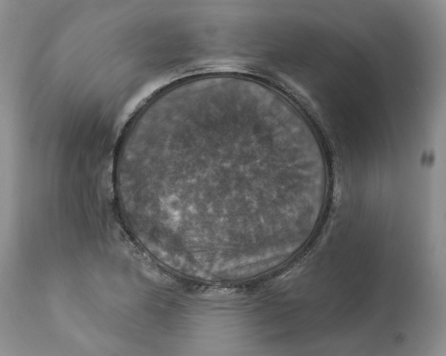 X0000113181174200909251434