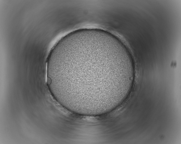 X0000113181175200909251434