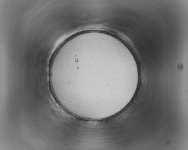 X0000113181176200909251434