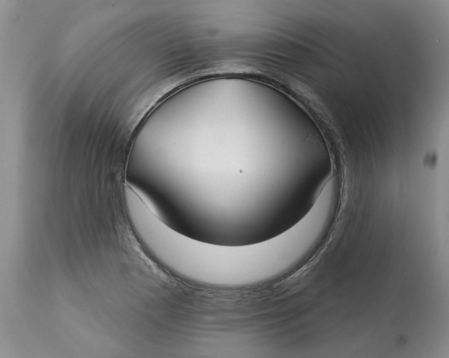 X0000113181177200909251434