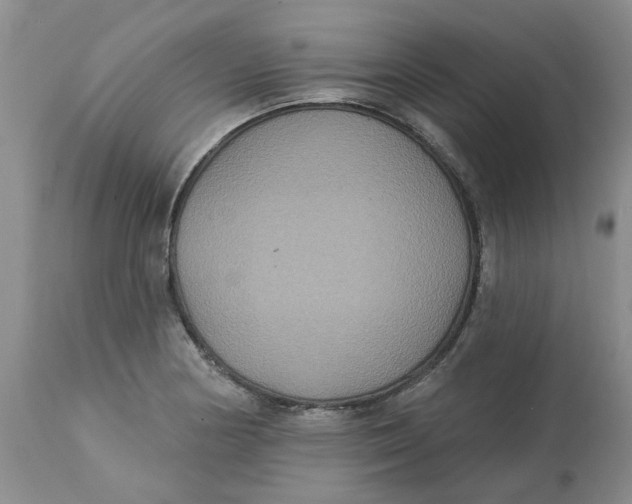 X0000113181178200909251434