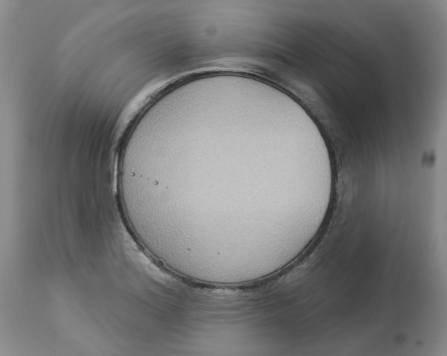 X0000113181180200909251434