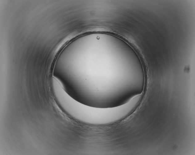 X0000113181181200909251434