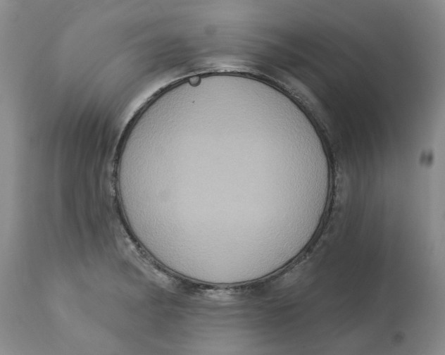 X0000113181182200909251434