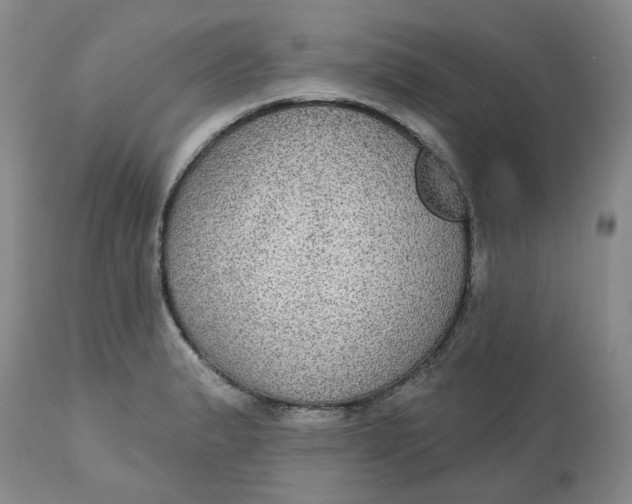 X0000113181183200909251434