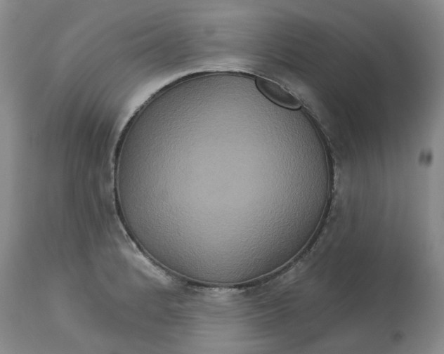 X0000113181184200909251434