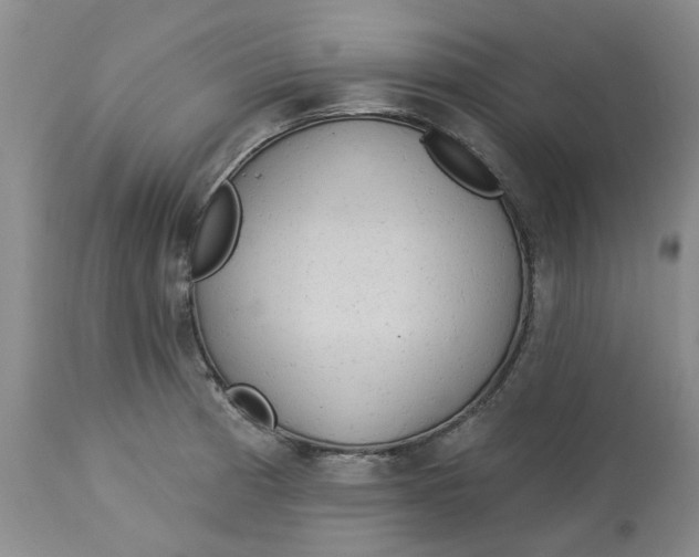 X0000113181185200909251434