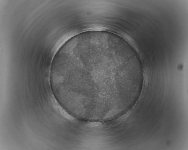 X0000113181186200909251434