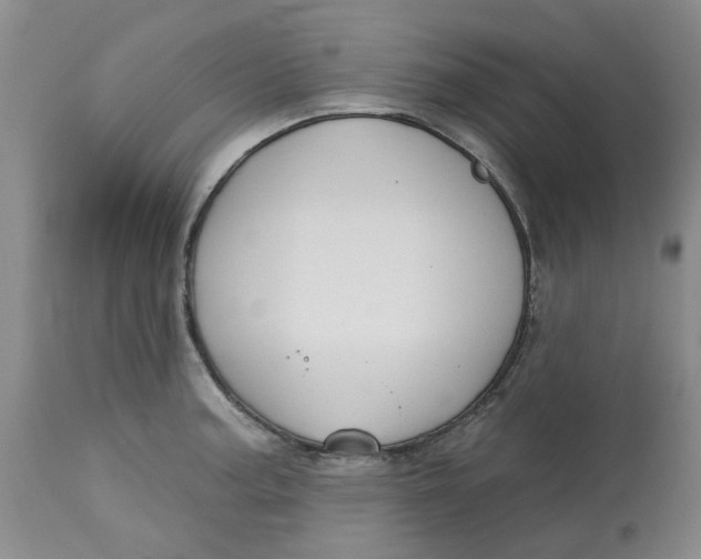 X0000113181187200909251434